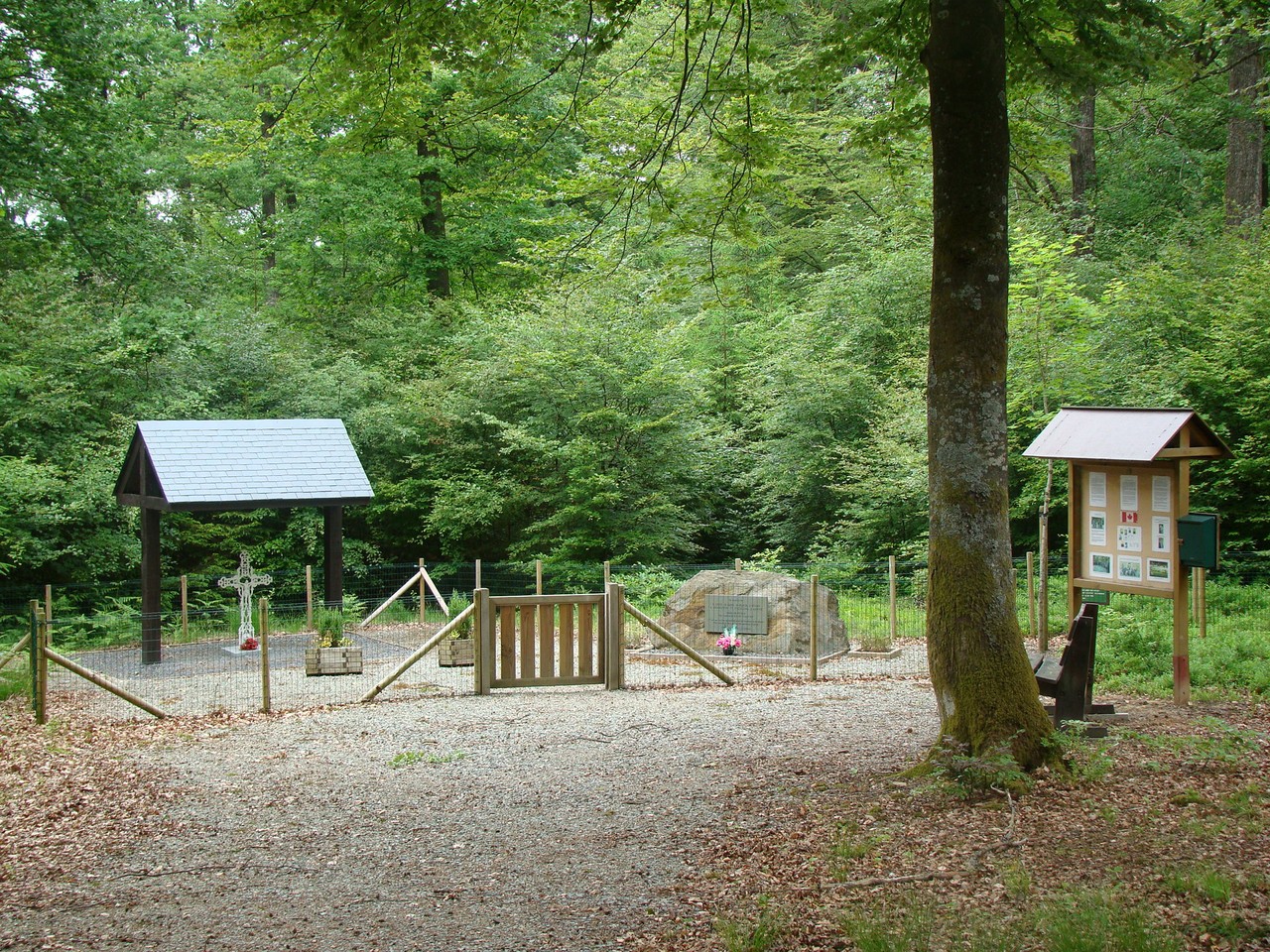 Site de la chute du Halifax HR 872 LQ-K dans le bois du Ry de Bellerose